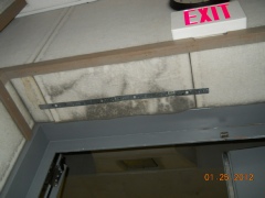 Mold Home Inspection FAQ