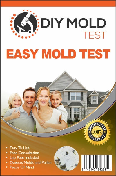 At home mold test : r/HomeMaintenance